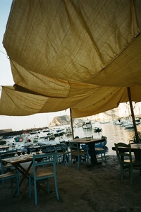 palmarola