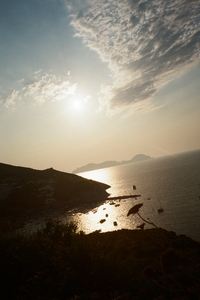 palmarola