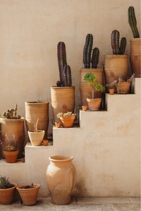 masseria-palaci-shop-the-maptique-4