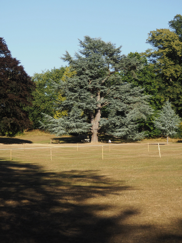 The most beautiful gardens in southern England The Maptique