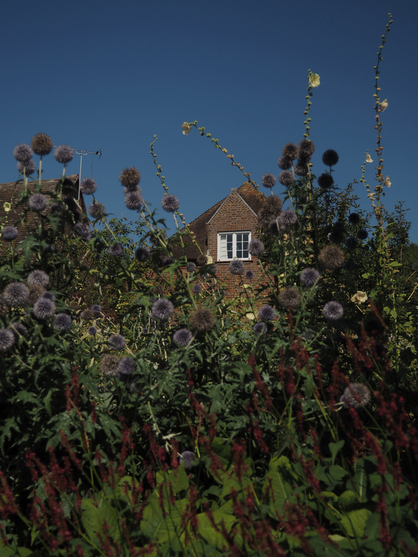 The most beautiful gardens in southern England The Maptique